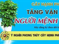 Cách Tăng Vận Khí