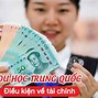 Du Học 2 Mình Cần Những Gì 2024 Mới Nhất Download