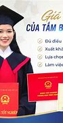 Học Giỏi Sử Thì Làm Nghề Gì