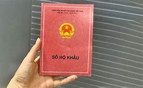 Quy Định Nhập Khẩu Hà Nội