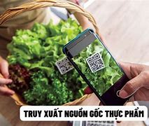 Xem Nguồn Gốc Hàng Hóa Ở Mỹ Như Thế Nào