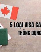 Xklđ Canada 2022 Là Visa Gì Ở Úc Visa